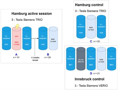 Repetitive T1 Imaging Influences Gray Matter Volume Estimations in Structural Brain Imaging